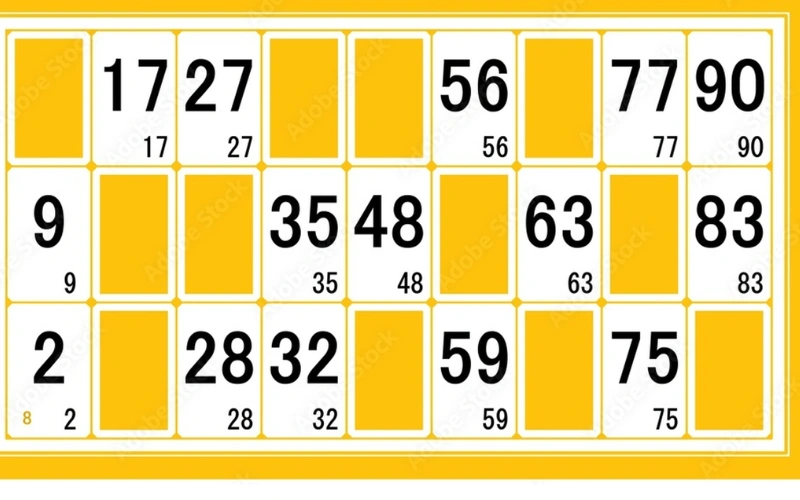 Kerala Lottery Monthly Chart at Mizoram State Lottery featured image