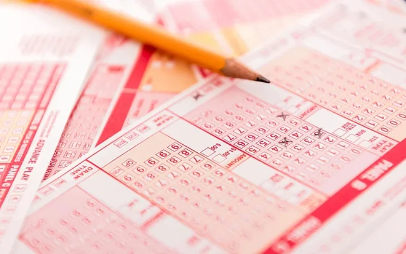 mizoram lottery result today at Mizoram State Lottery featured image